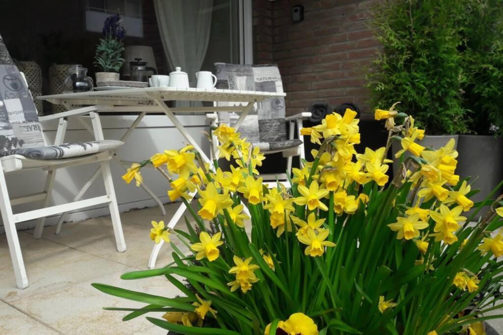 1 Zimmer Appartement Cap Arcona Neustadt in Holstein Εξωτερικό φωτογραφία